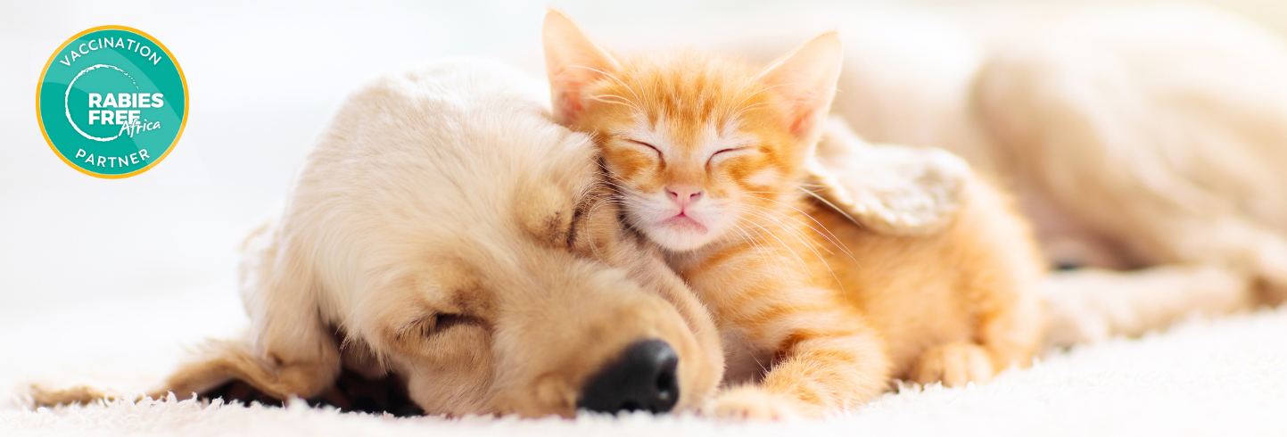 Hampton Falls veterinarians