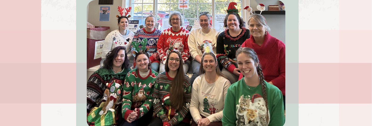 Hampton Falls veterinarians