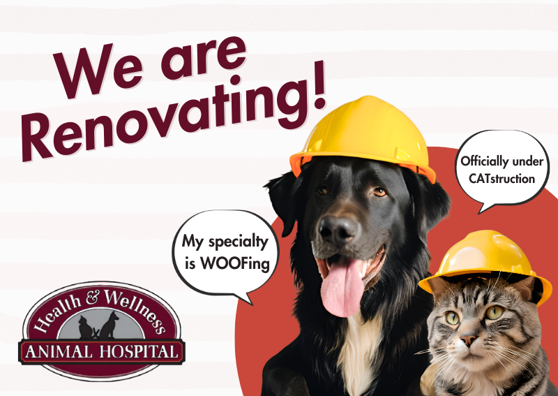 Carousel Slide 3: Learn More >>